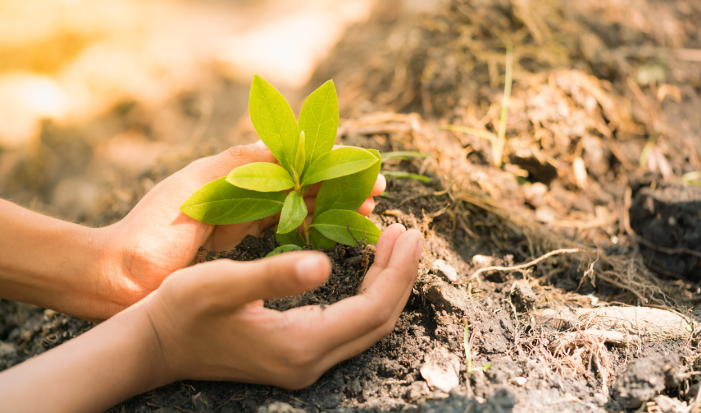 Educação Ambiental no processo de Licenciamento